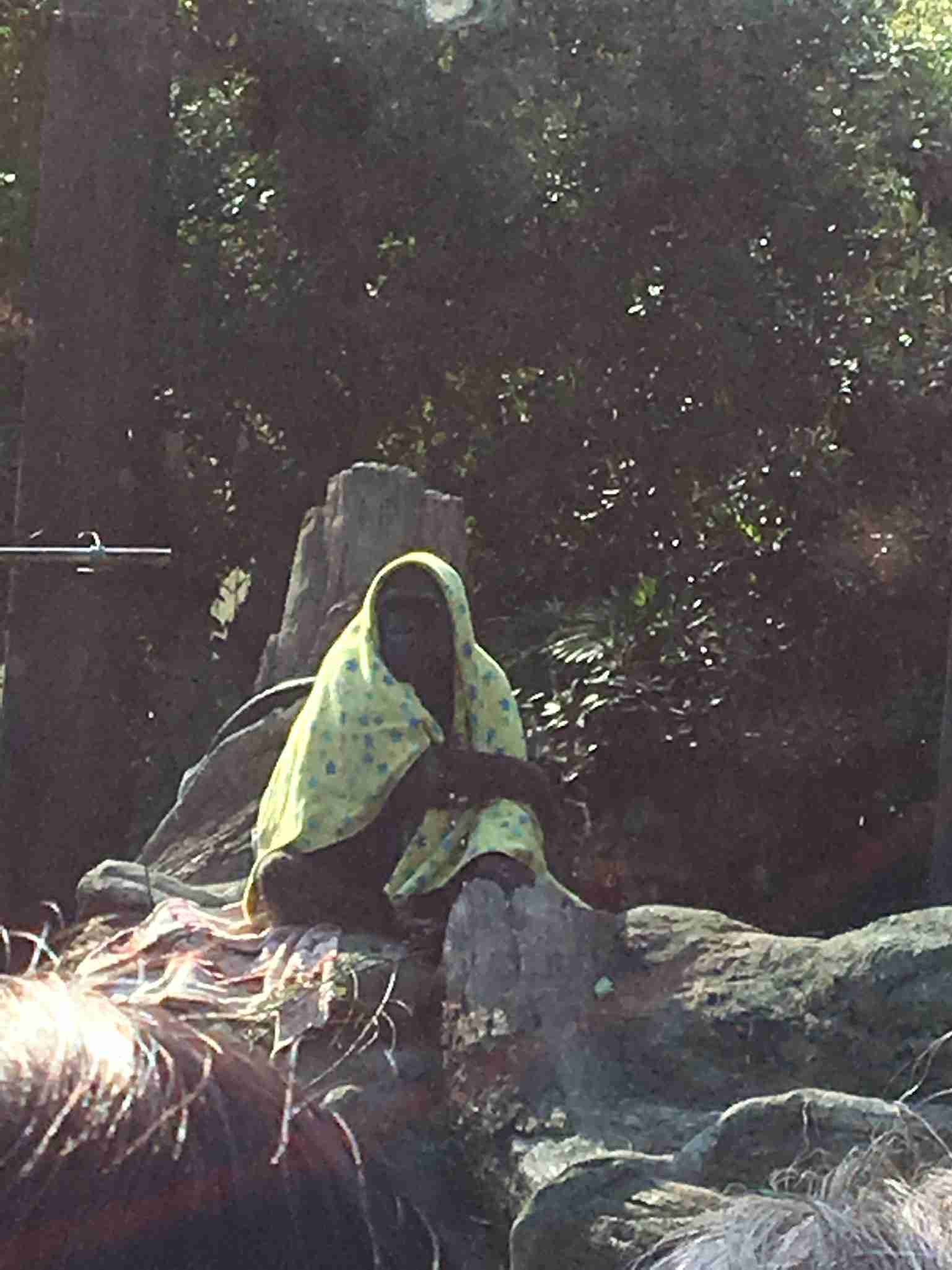 なぜそこにいる⁈ ってなる猫画像