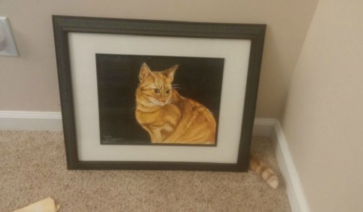 なぜそこにいる⁈ ってなる猫画像