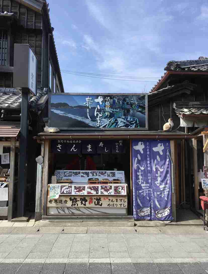 なぜそこにいる⁈ ってなる猫画像