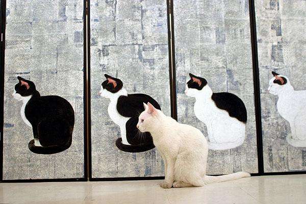 なぜそこにいる⁈ ってなる猫画像