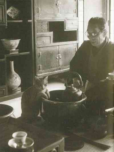 なぜそこにいる⁈ ってなる猫画像