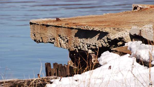 なぜそこにいる⁈ ってなる猫画像