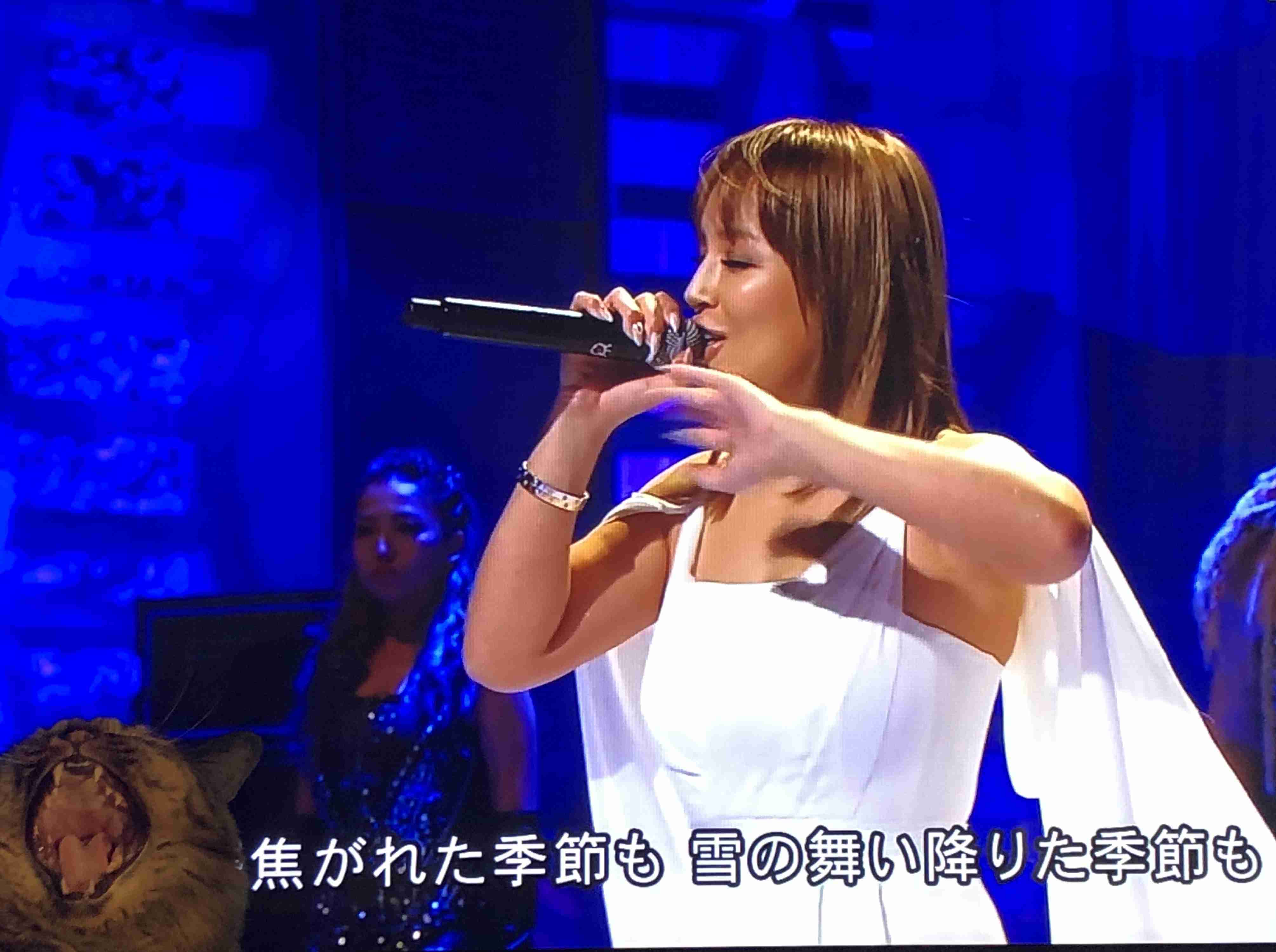 なぜそこにいる⁈ ってなる猫画像