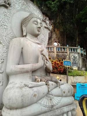 なぜそこにいる⁈ ってなる猫画像