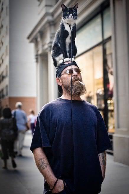 なぜそこにいる⁈ ってなる猫画像