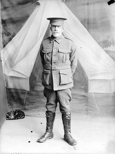 なぜそこにいる⁈ ってなる猫画像