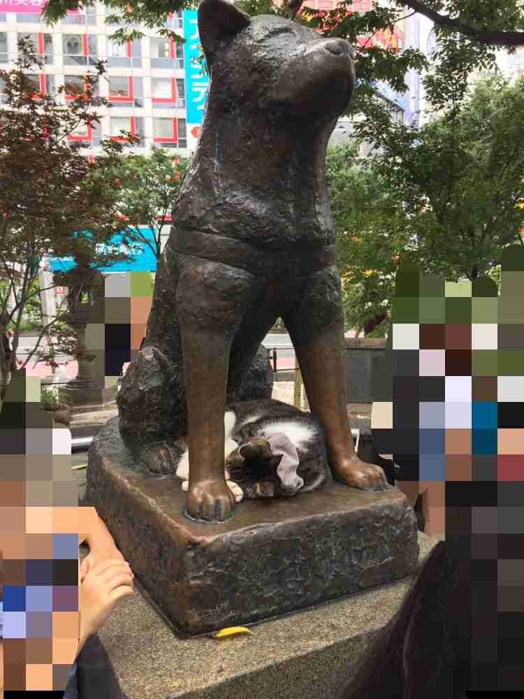 なぜそこにいる⁈ ってなる猫画像