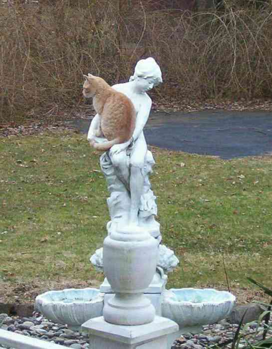 なぜそこにいる⁈ ってなる猫画像