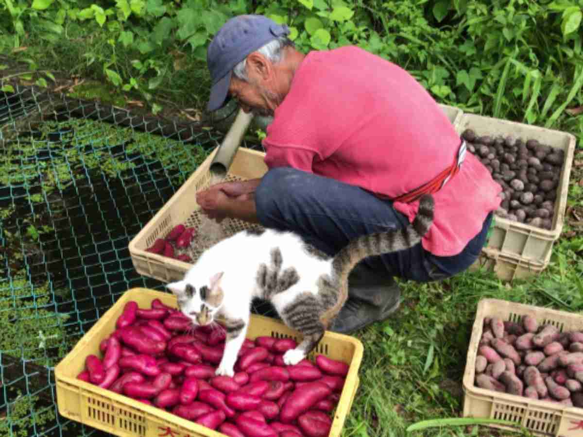 好きだったフジテレビの木10ドラマは?