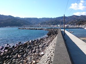 好きだったフジテレビの木10ドラマは?