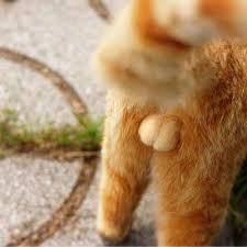 これって嫌われてる？たまたま？判断してもらうトピ