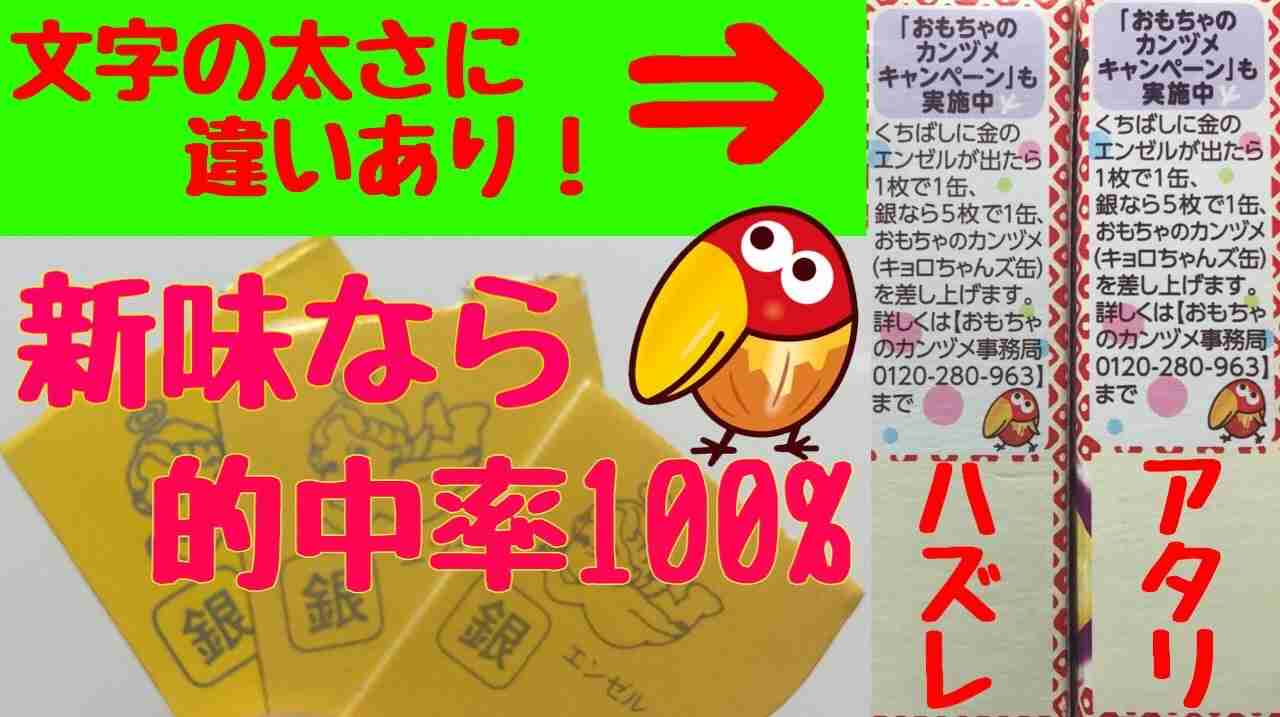 必ず応募してるキャンペーンありますか?