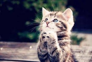 夏までに痩せたい