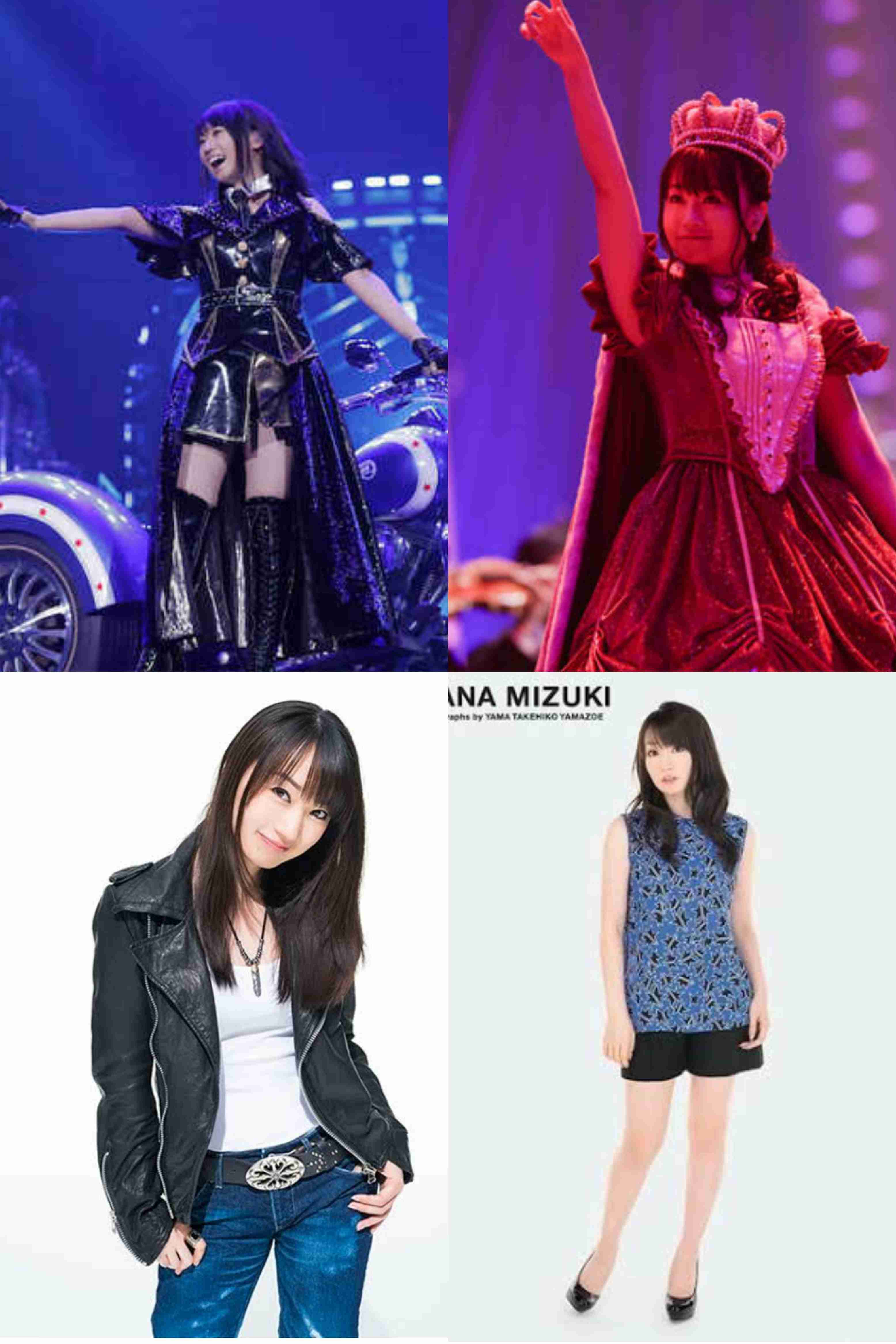 骨格ストレート総合　2019年・春～夏