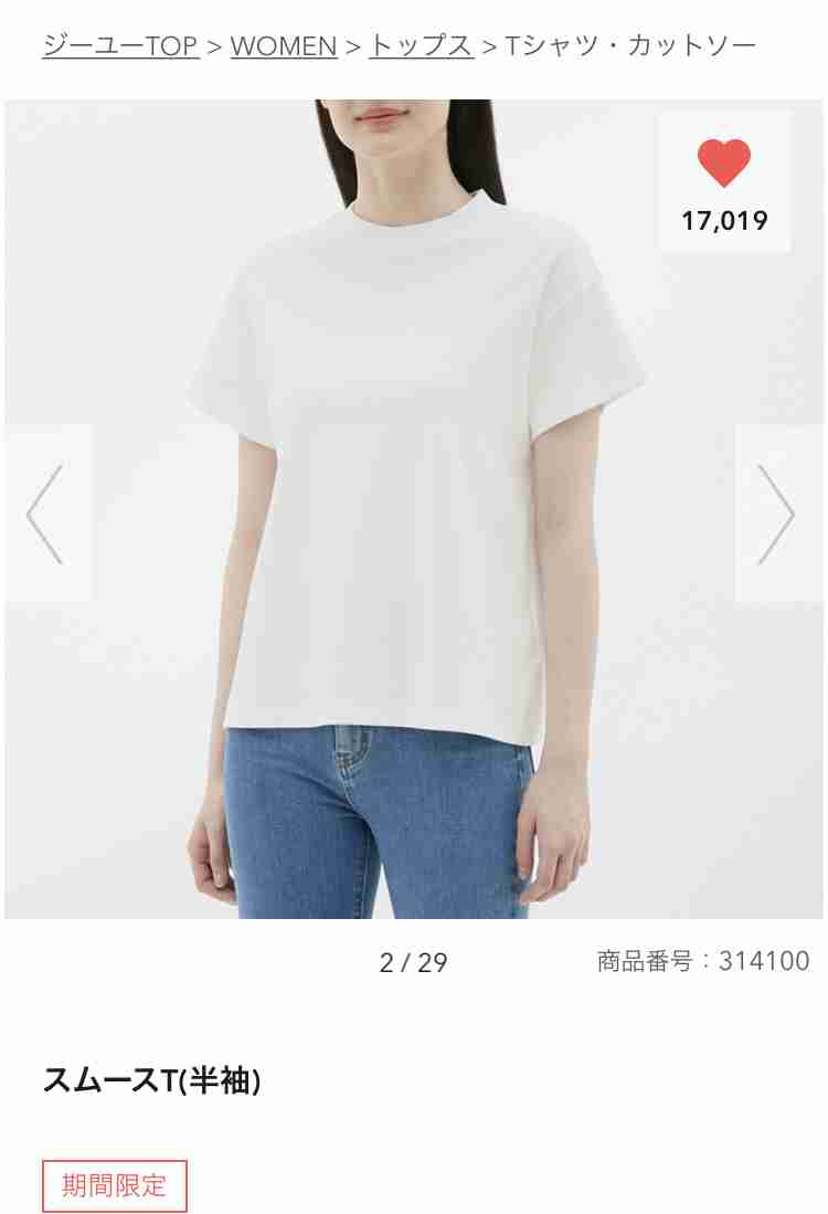 骨格ストレート総合　2019年・春～夏