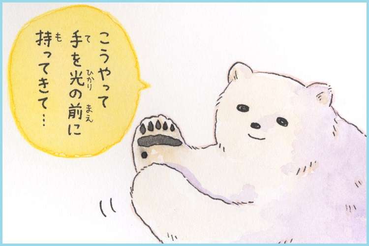 コウペンちゃんに癒されるトピ