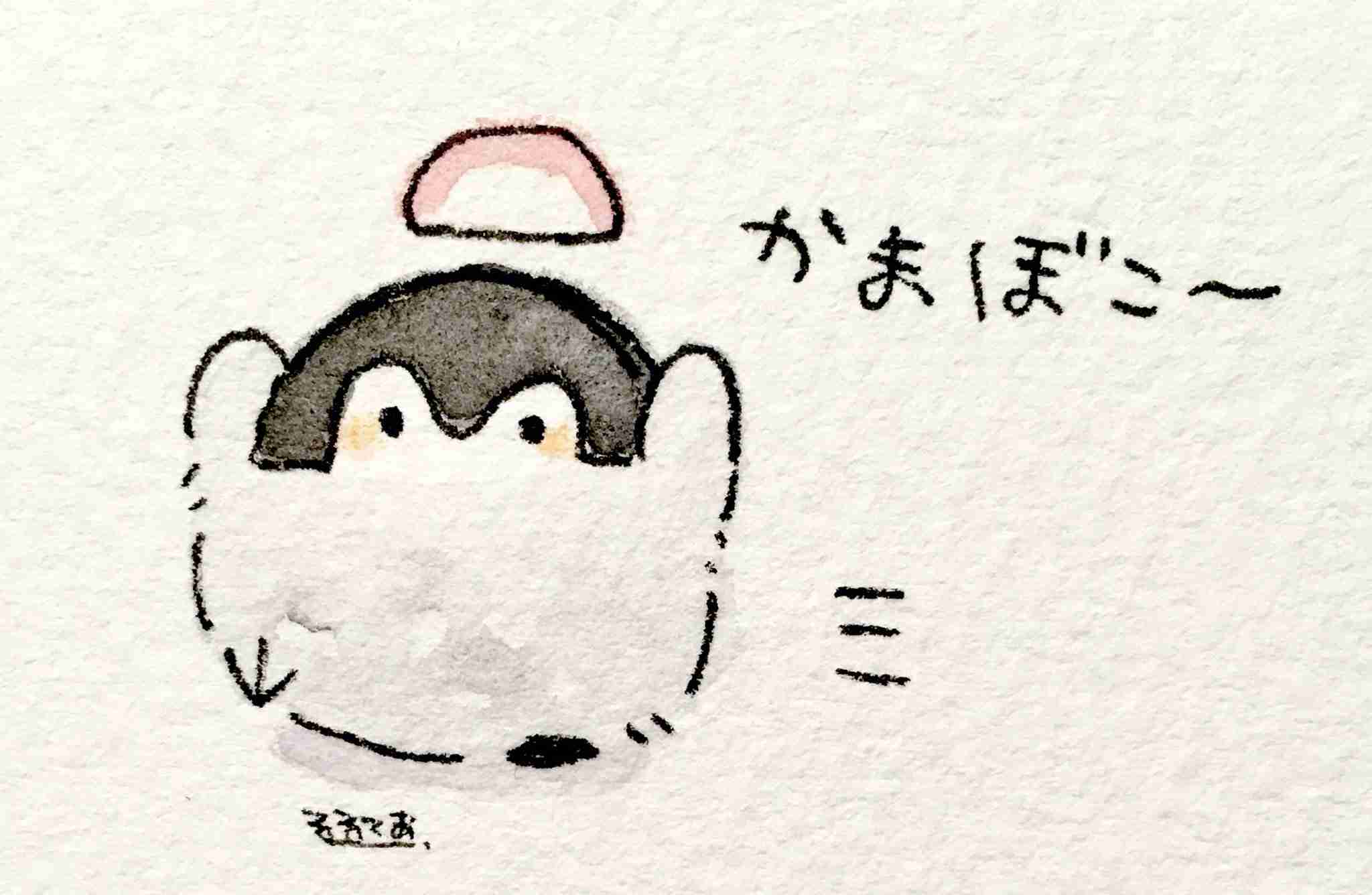 コウペンちゃんに癒されるトピ