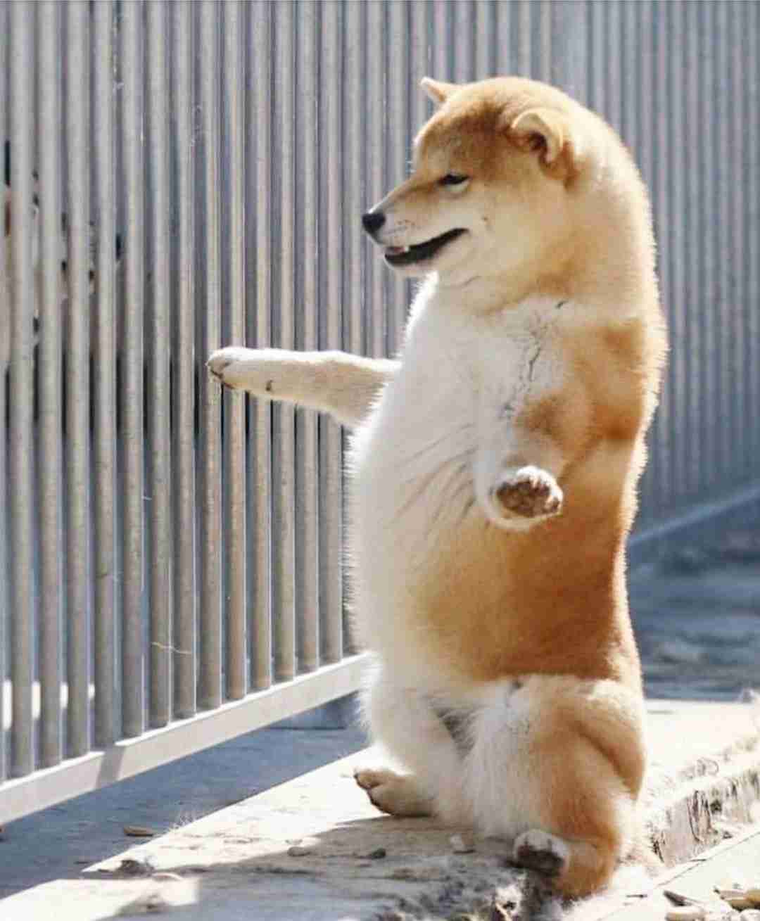 意味もなく落ち込む日