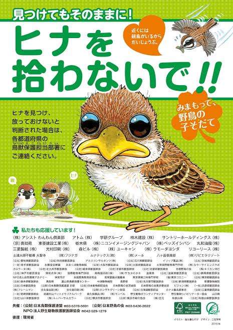 【スズメ可愛いよスズメ】スズメが好き