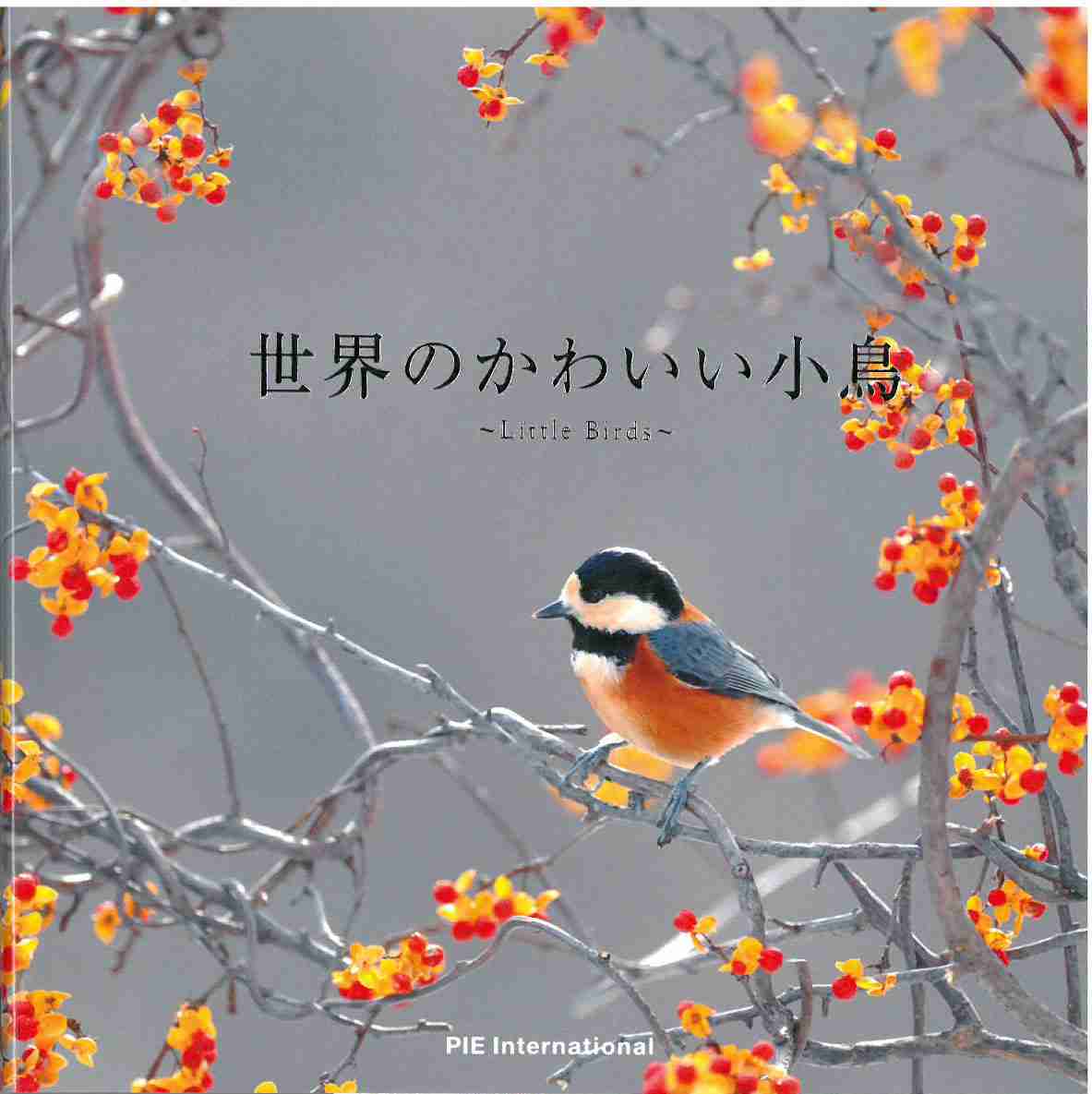 【スズメ可愛いよスズメ】スズメが好き