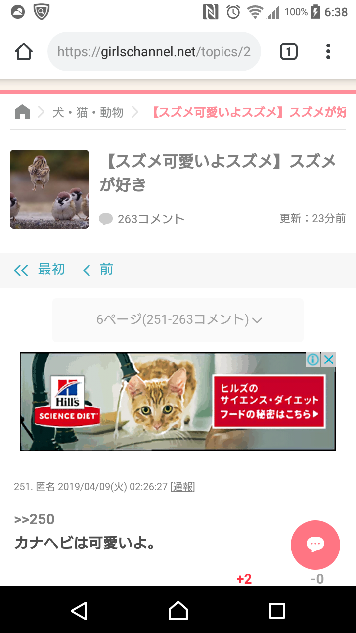 【スズメ可愛いよスズメ】スズメが好き