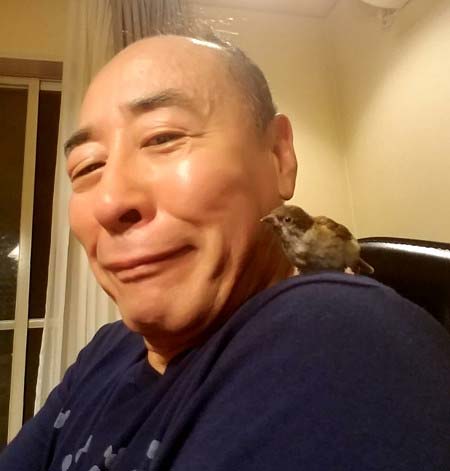 【スズメ可愛いよスズメ】スズメが好き