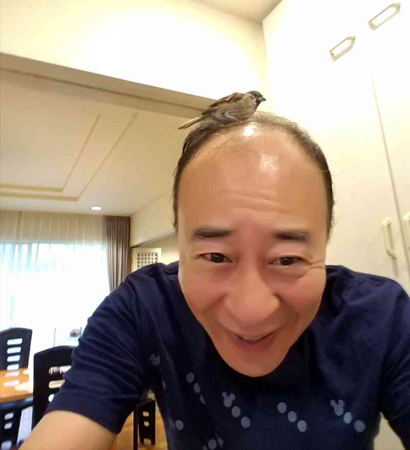 【スズメ可愛いよスズメ】スズメが好き