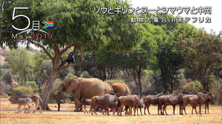 動物が集まってる画像トピ