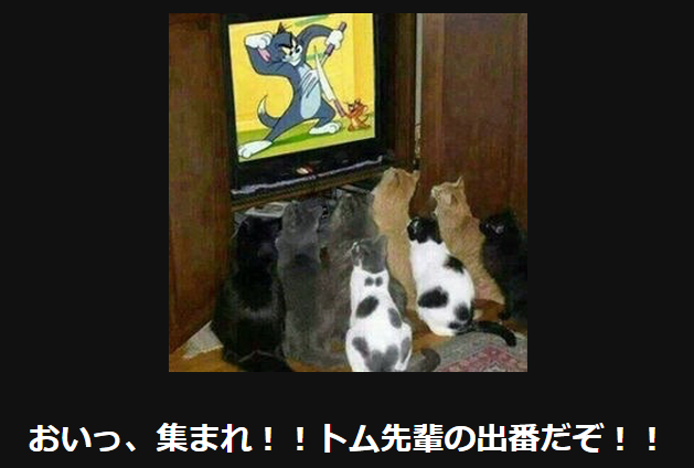 動物が集まってる画像トピ
