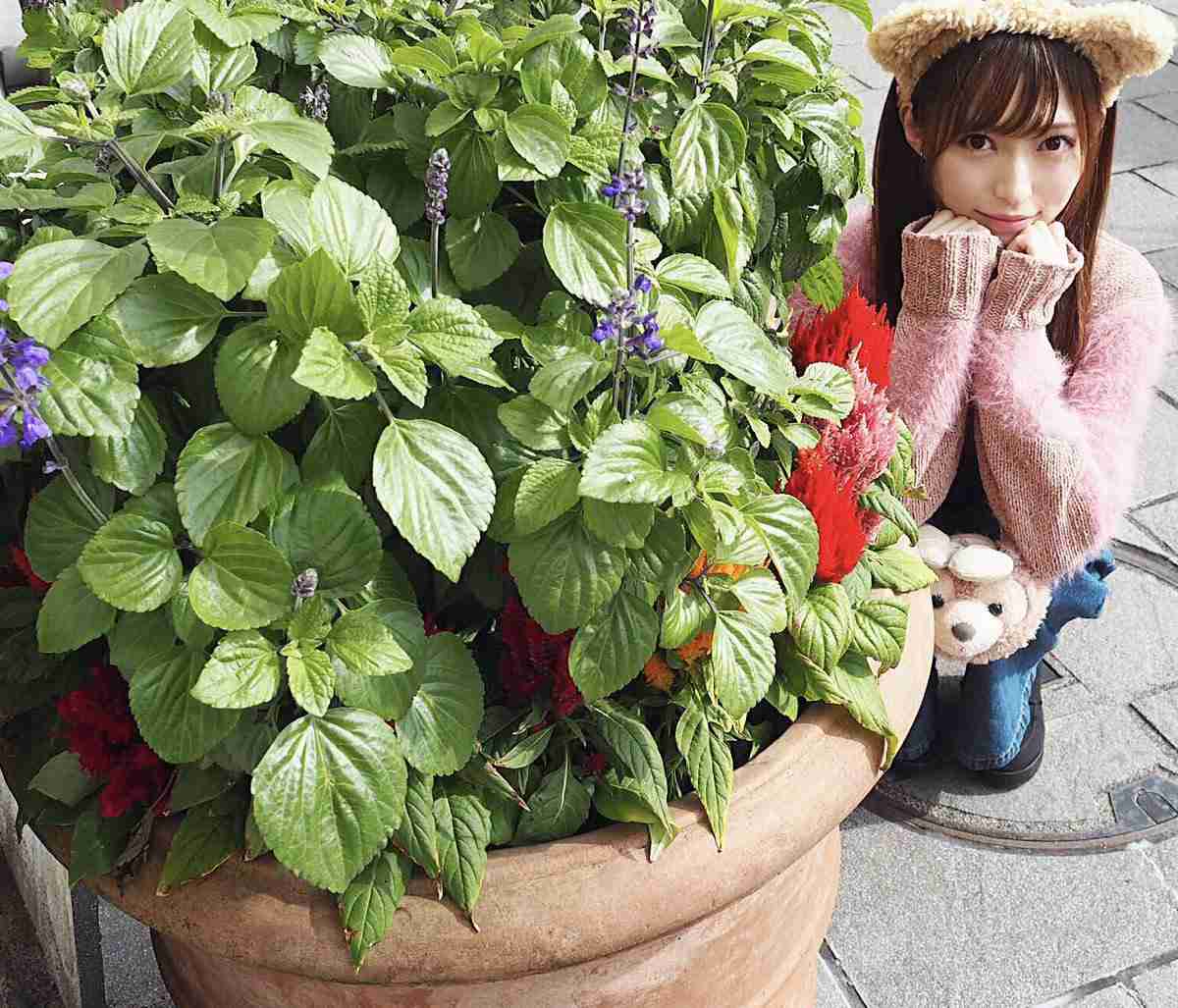 山口真帆 NGT48最後の握手会は握手なし「お話のみの対応」