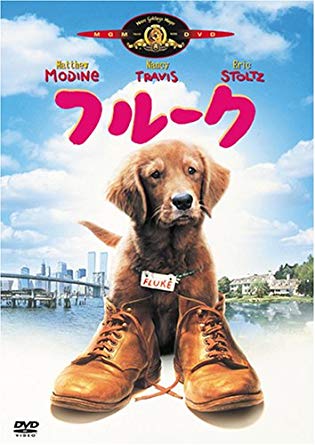 『好きな映画』を聞かれて1番最初に浮かぶものはなんですか？
