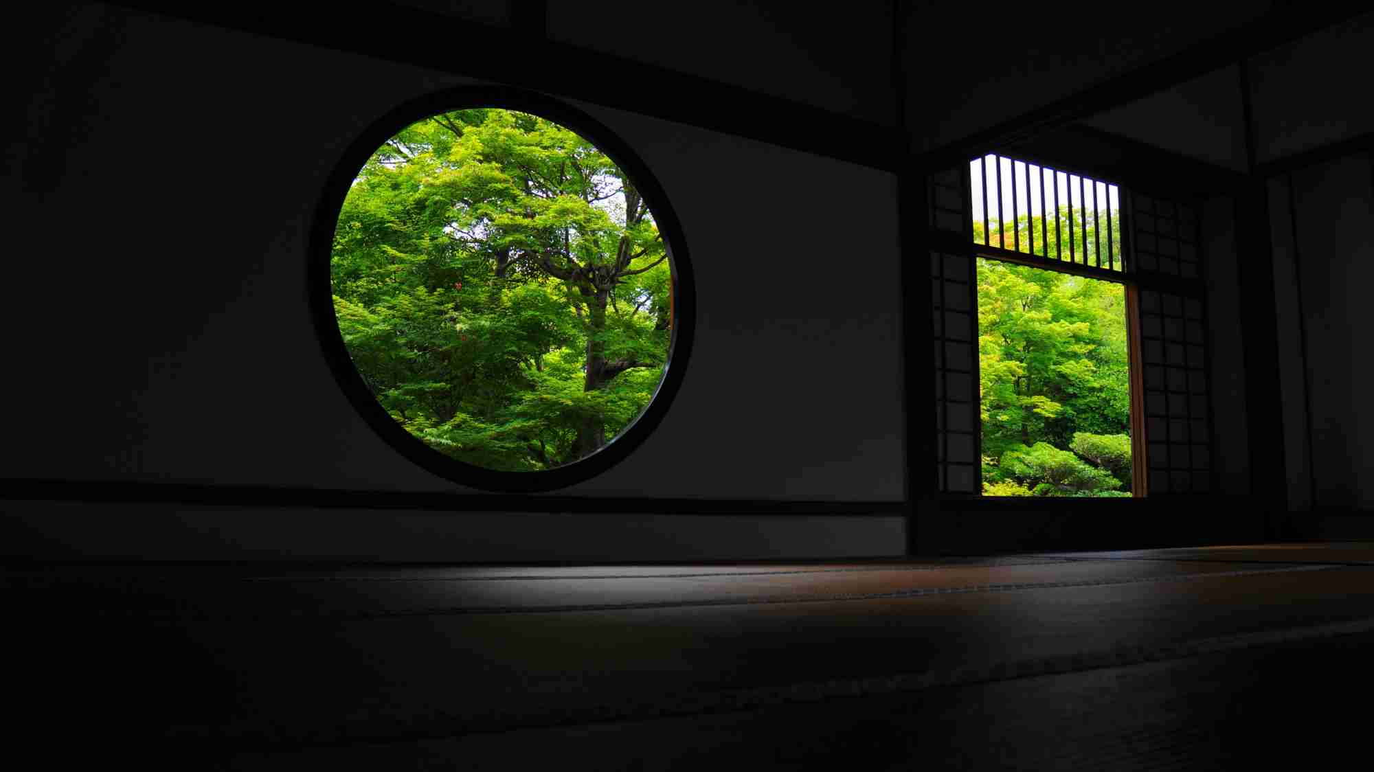 美しい新緑・若葉の画像で目の保養をするトピ♪