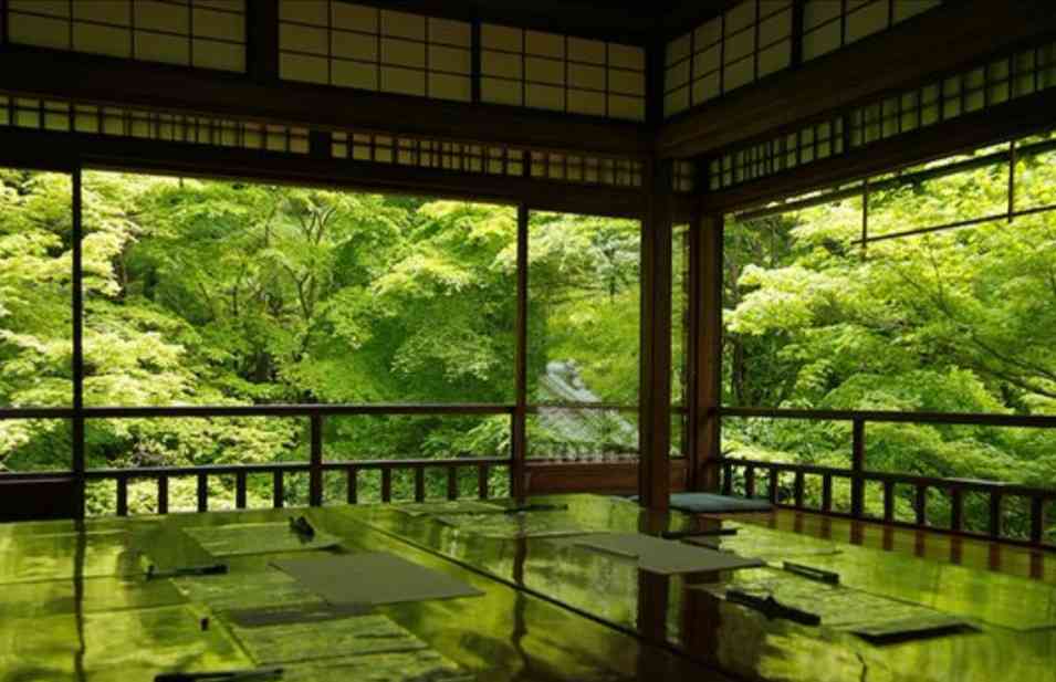 美しい新緑・若葉の画像で目の保養をするトピ♪