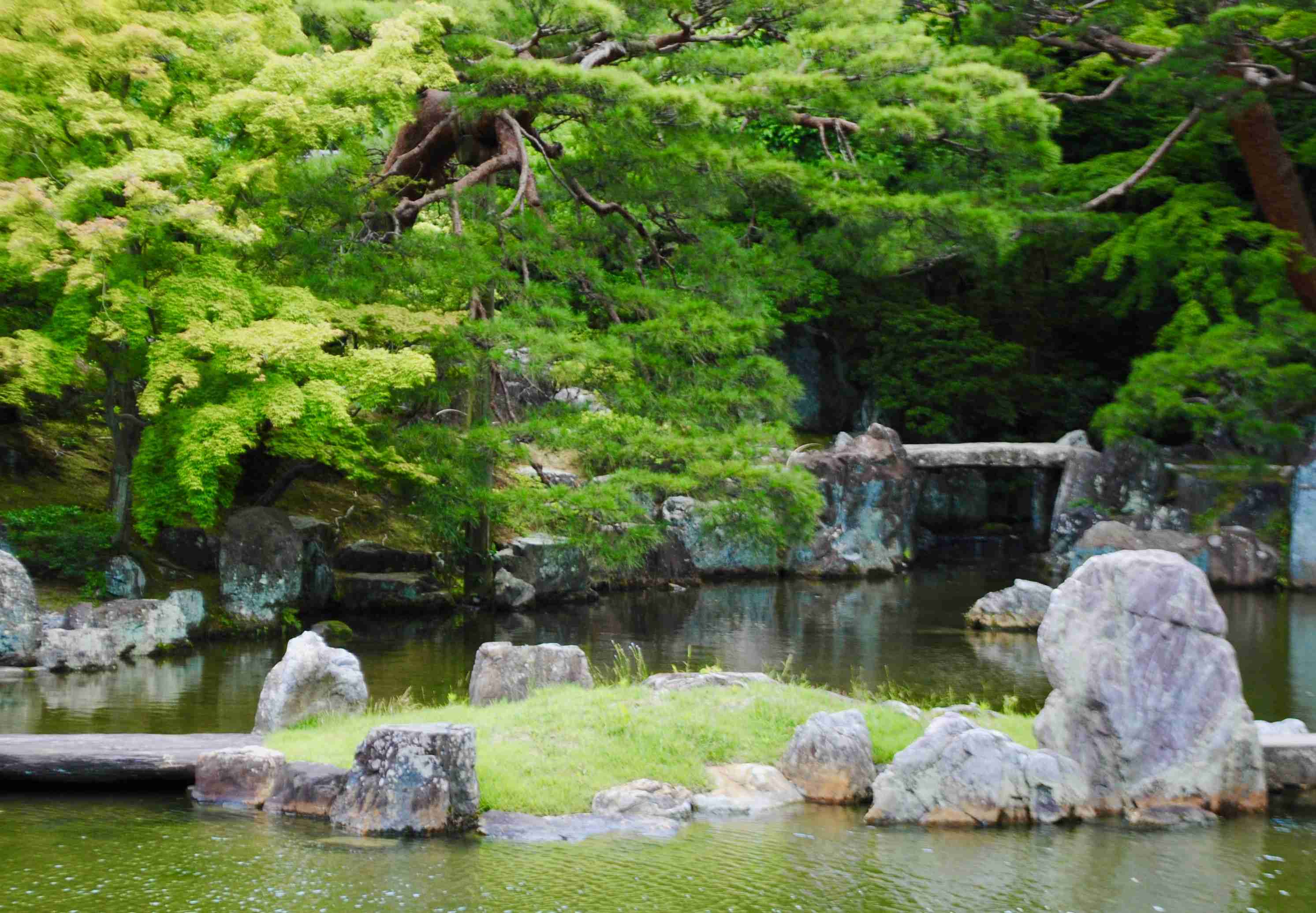 美しい新緑・若葉の画像で目の保養をするトピ♪