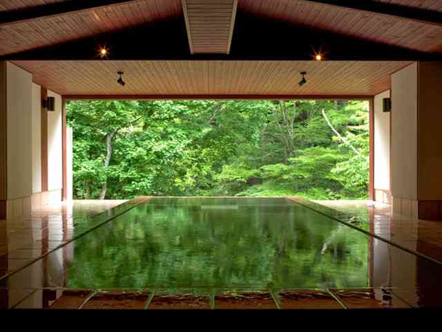 美しい新緑・若葉の画像で目の保養をするトピ♪