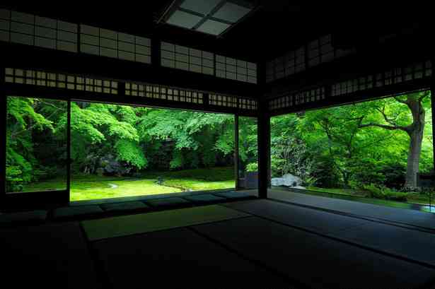 美しい新緑・若葉の画像で目の保養をするトピ♪
