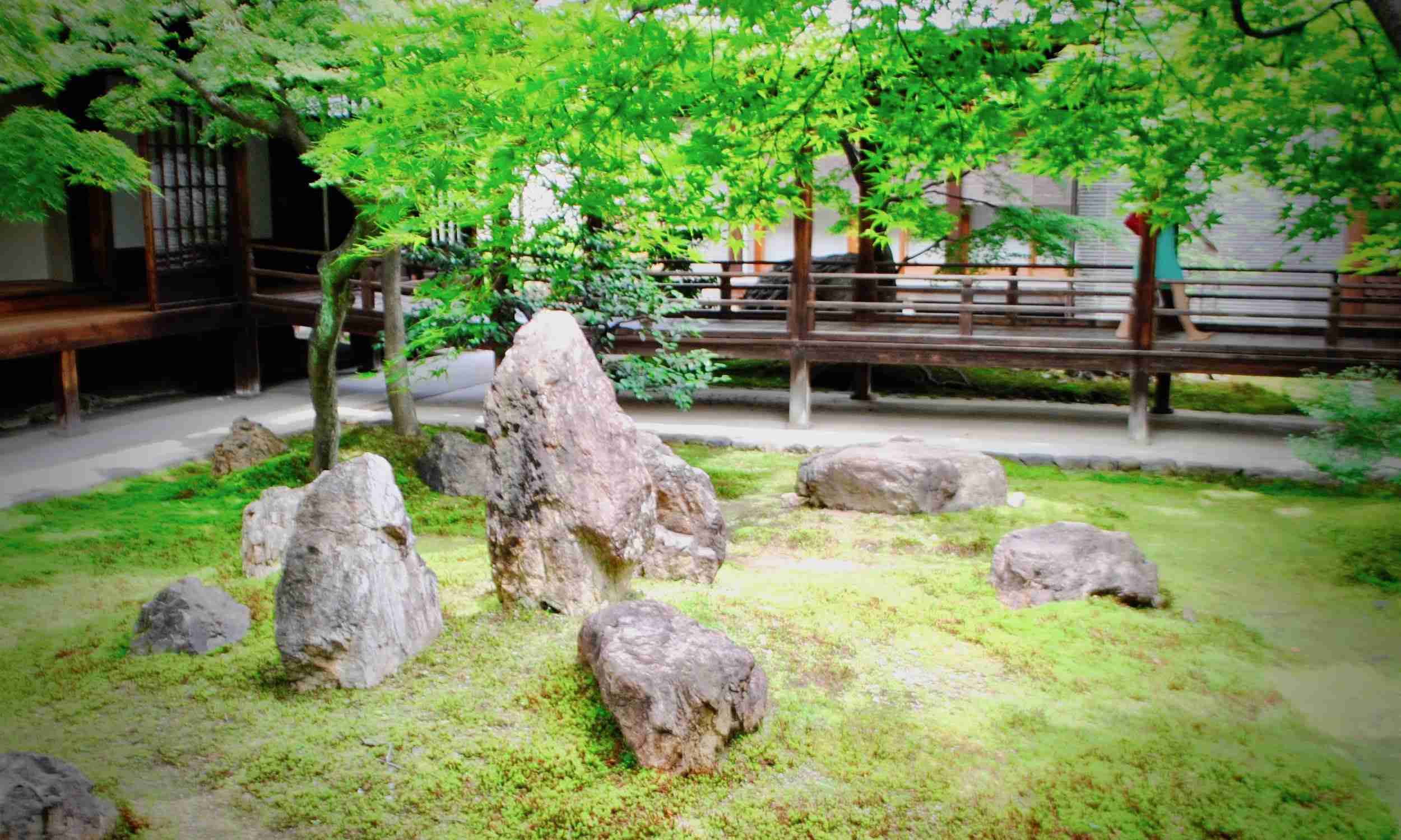 美しい新緑・若葉の画像で目の保養をするトピ♪