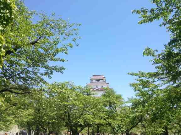 美しい新緑・若葉の画像で目の保養をするトピ♪