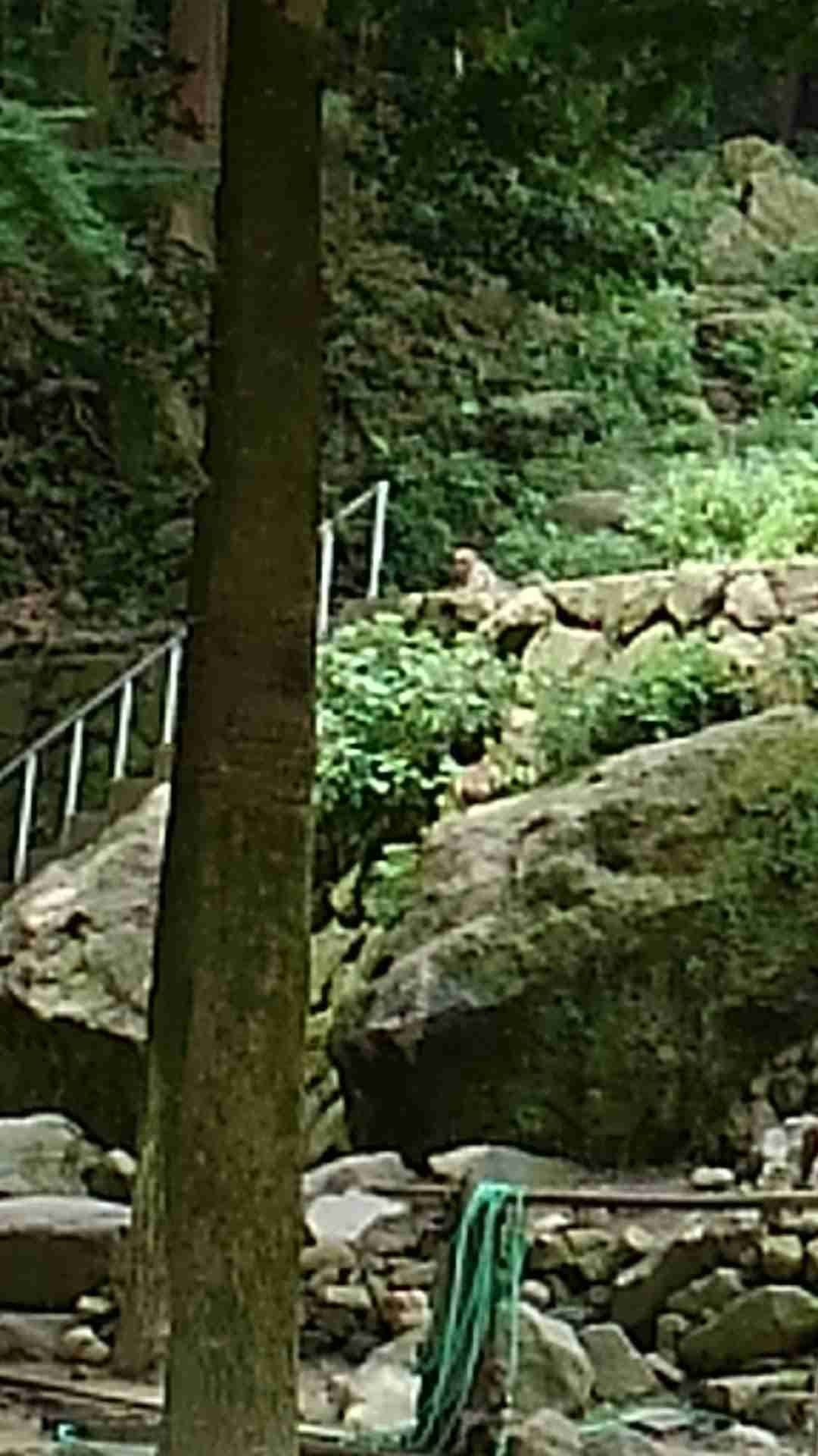 インスタ映えしない写真★選手権！Part３