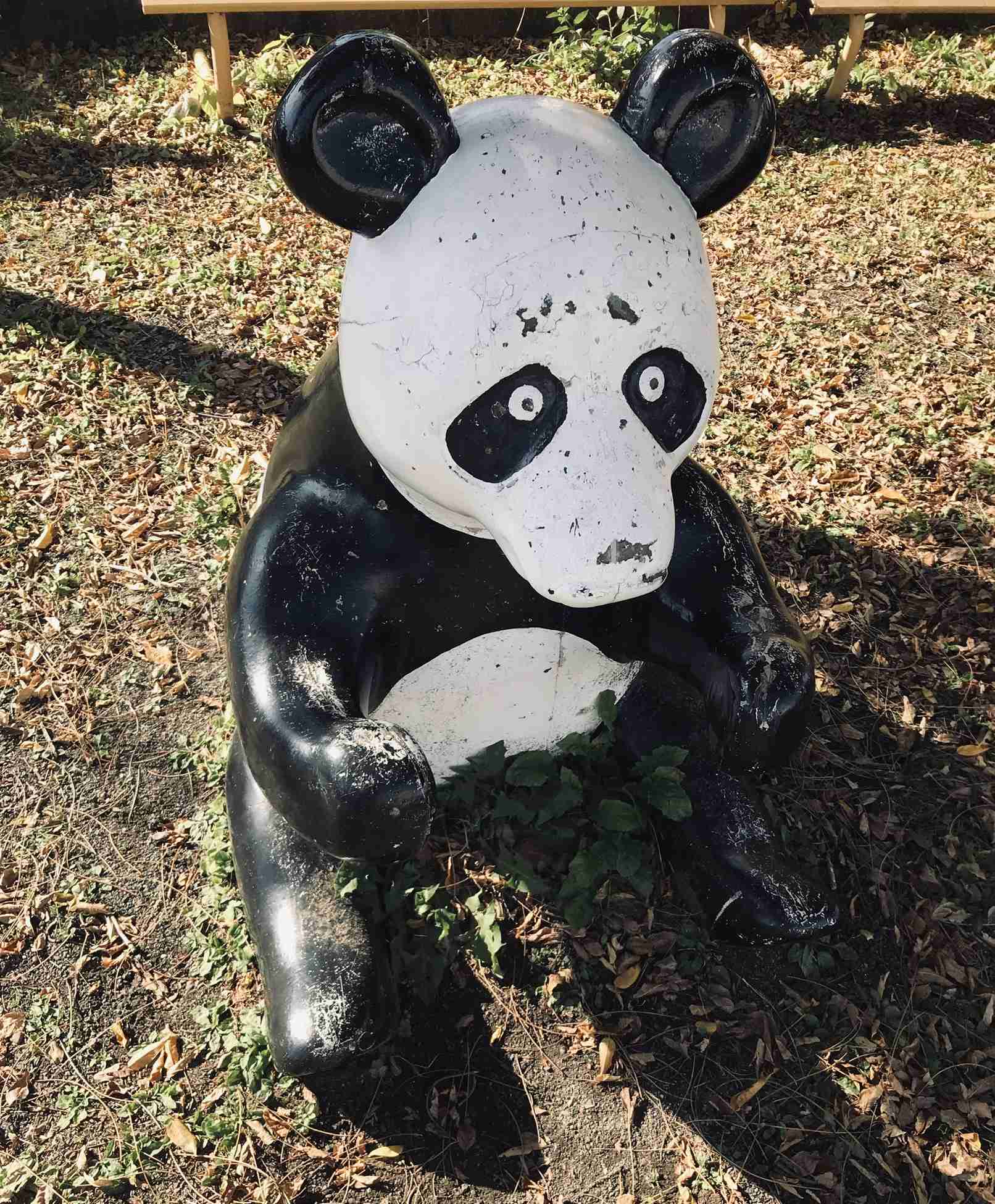 インスタ映えしない写真★選手権！Part３