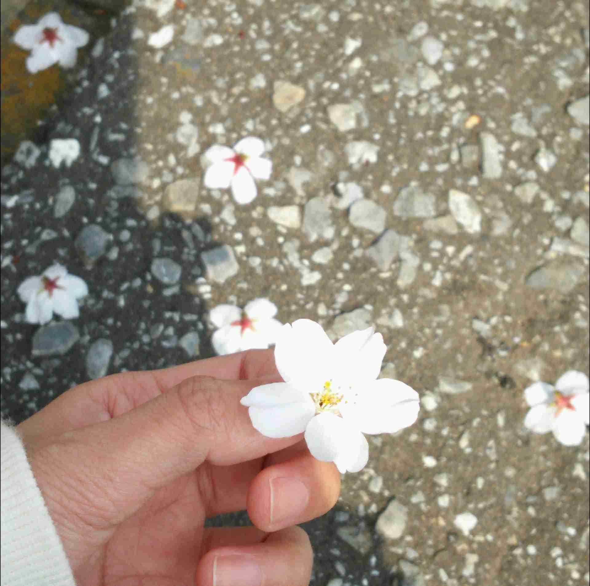 インスタ映えしない写真★選手権！Part３
