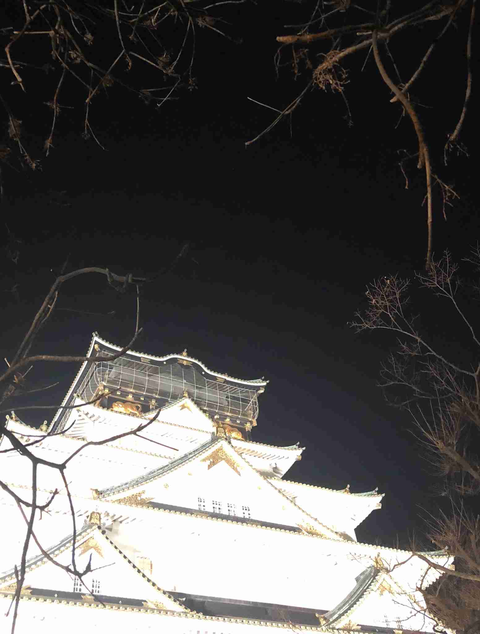 インスタ映えしない写真★選手権！Part３