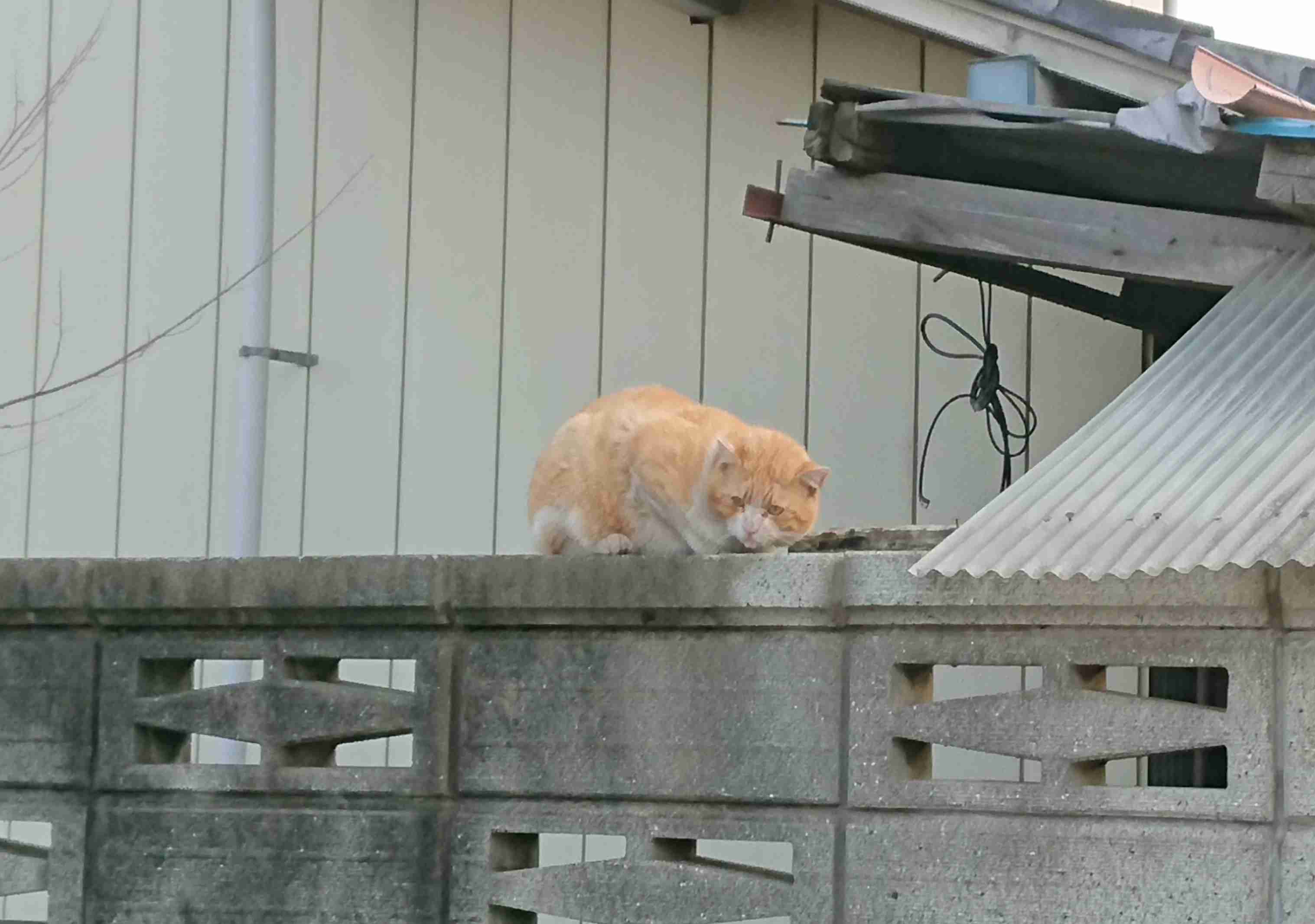 インスタ映えしない写真★選手権！Part３