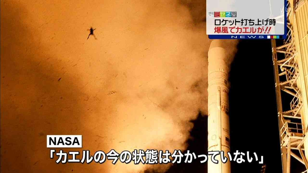 【画像・コピペ・エピソード】とにかくみんなに『なんでだよw』って言わせるトピ