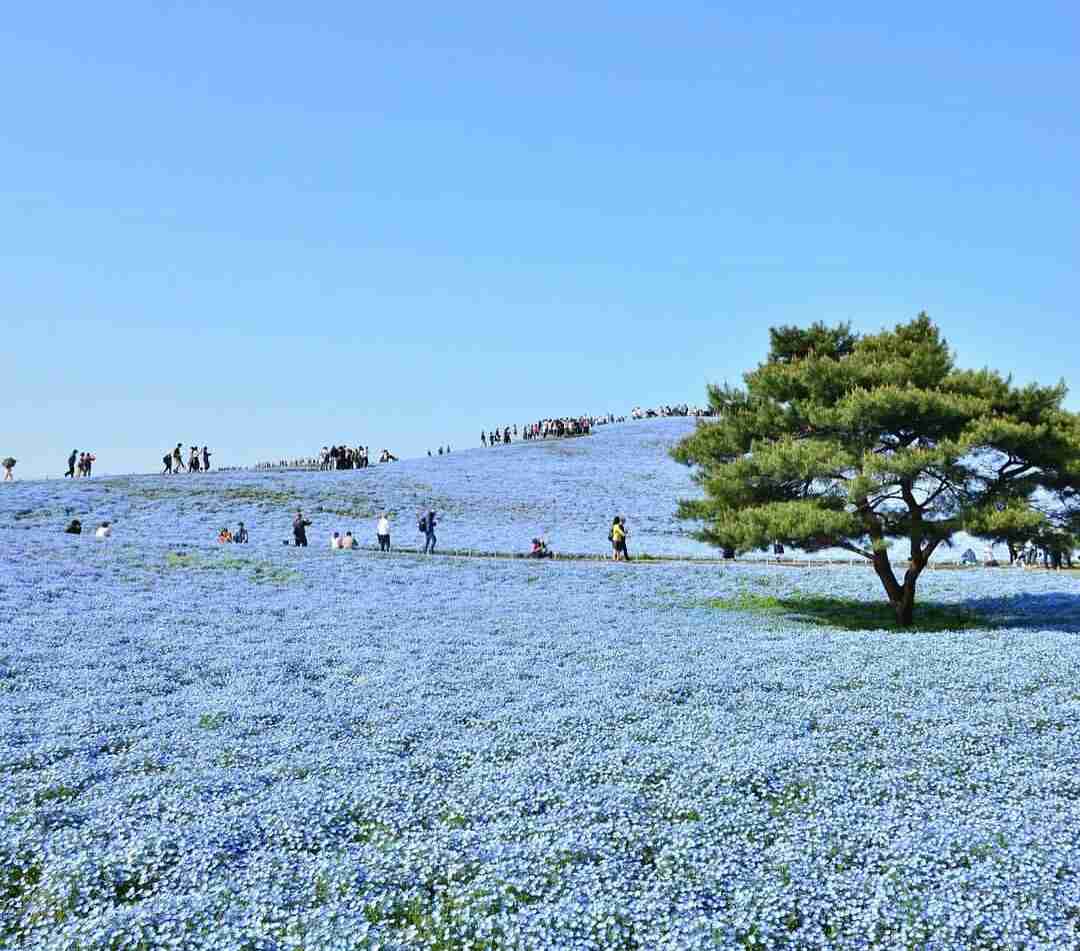 観光地周辺に住んでいる方、迷惑被ってませんか？