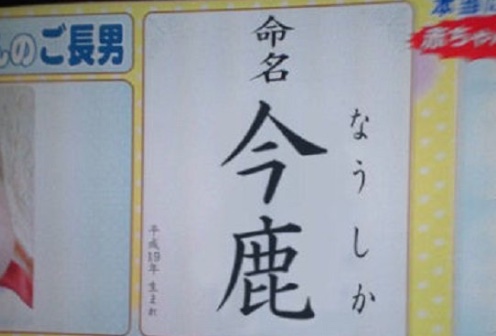 ネタにされがちな画像を貼るトピ