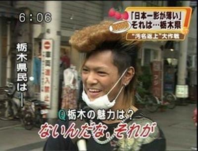 ネタにされがちな画像を貼るトピ
