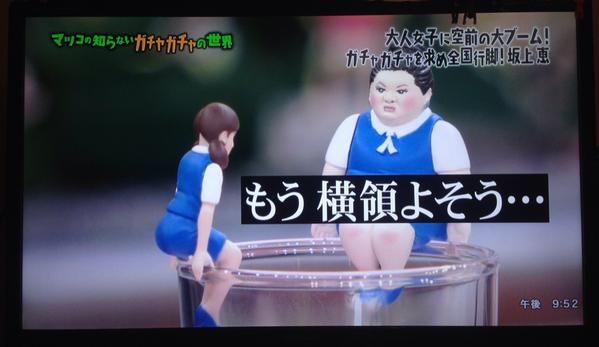 ネタにされがちな画像を貼るトピ