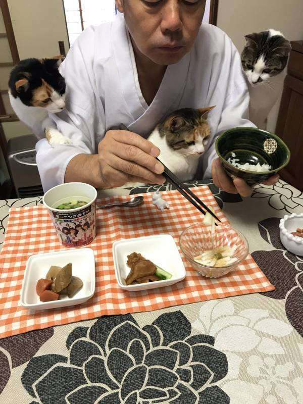 ネタにされがちな画像を貼るトピ
