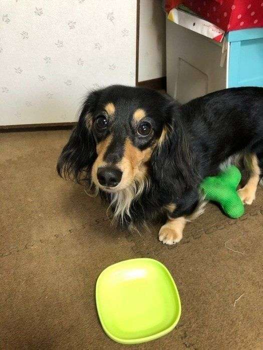 謙虚さを忘れないために心掛けてること！